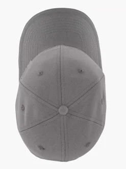 Grijze Pet