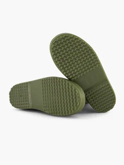 Groene Regenlaars
