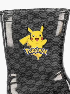 Zwarte Regenlaars Pokemon